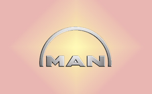 ✓ MAN 36.98138.6001 Запчасти МАН (MAN) 