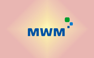 ✓ MWM 4289408 Прокладка ГБЦ 